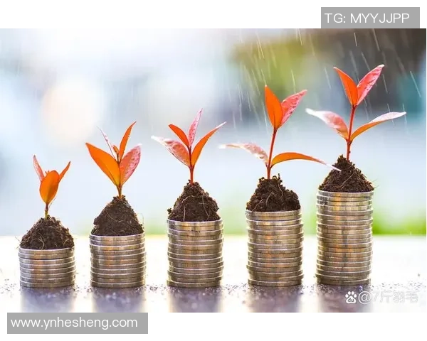 你我互换年纪与财富的奇妙交易想象与现实的碰撞